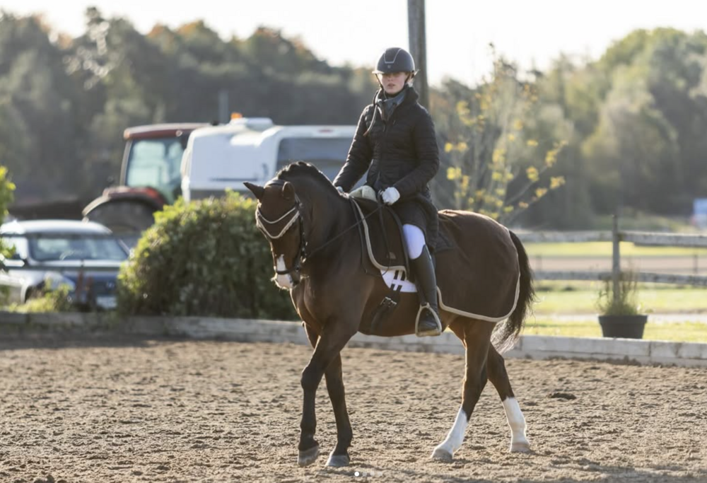 Dressyrträning BUS 28 april 2026